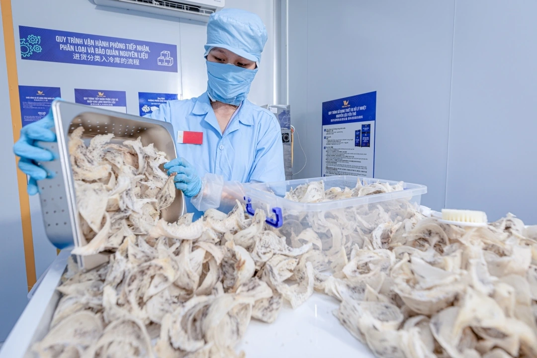 Mastering the First Impression: Your intriguing post title goes here Hai Yen 2 20240108222210