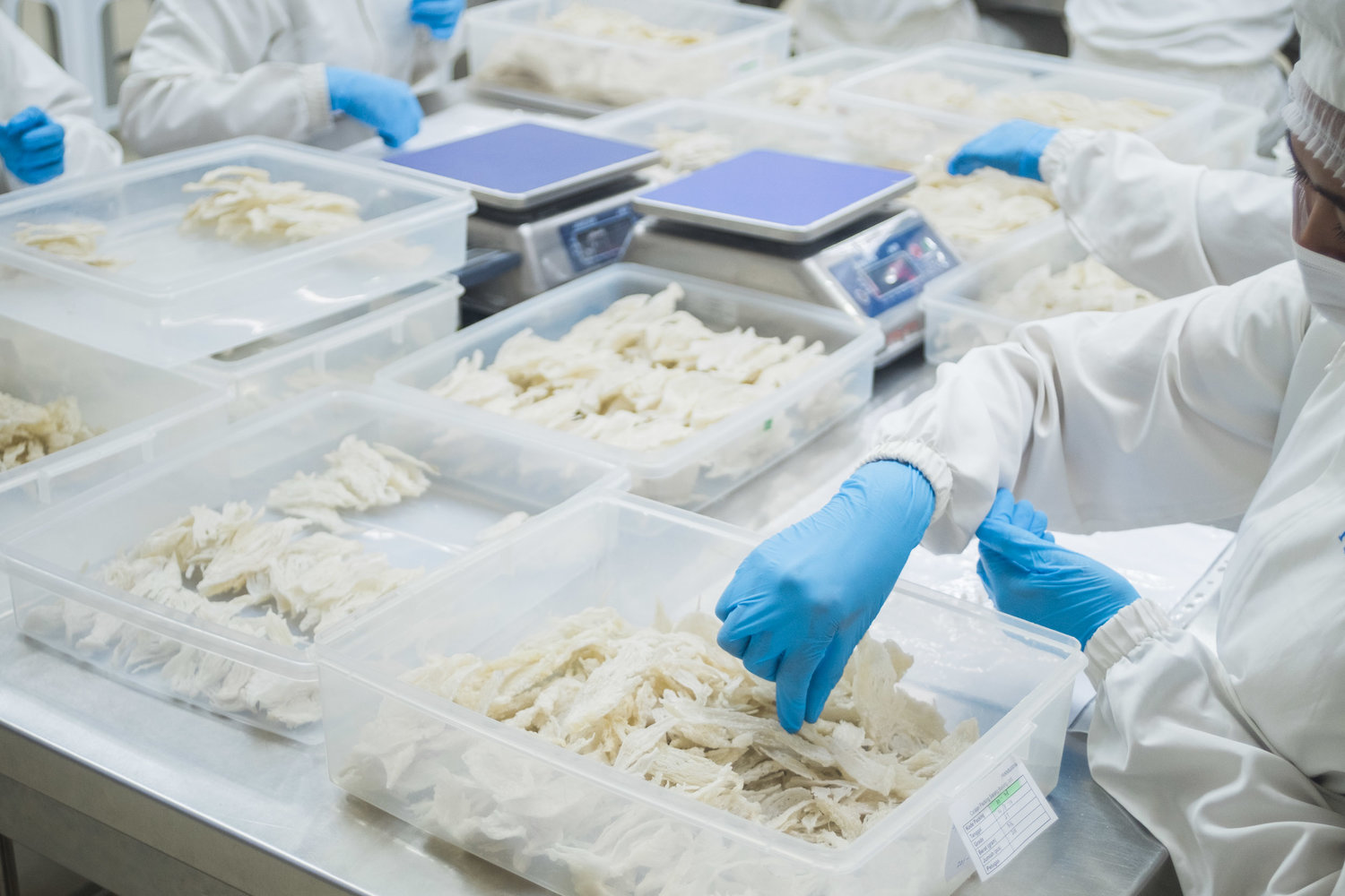 services-04 Packing 1